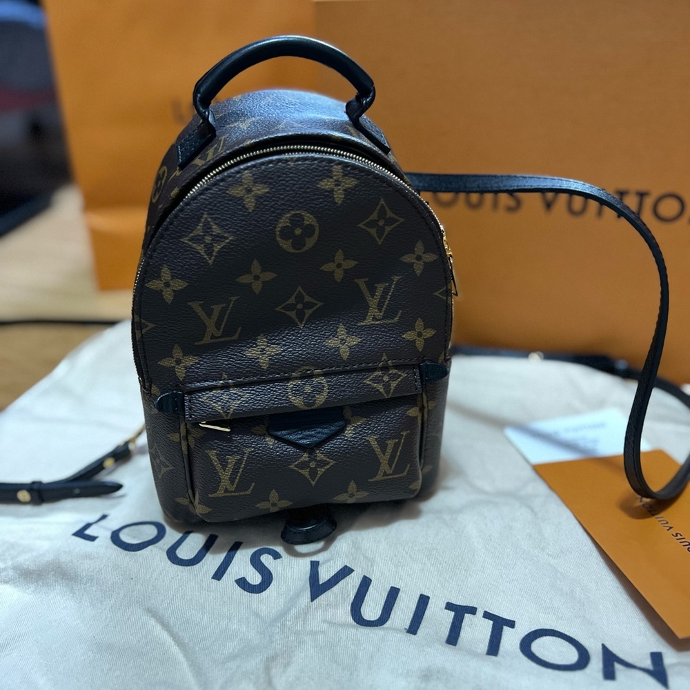 Louis vuitton palm spring mini backpack